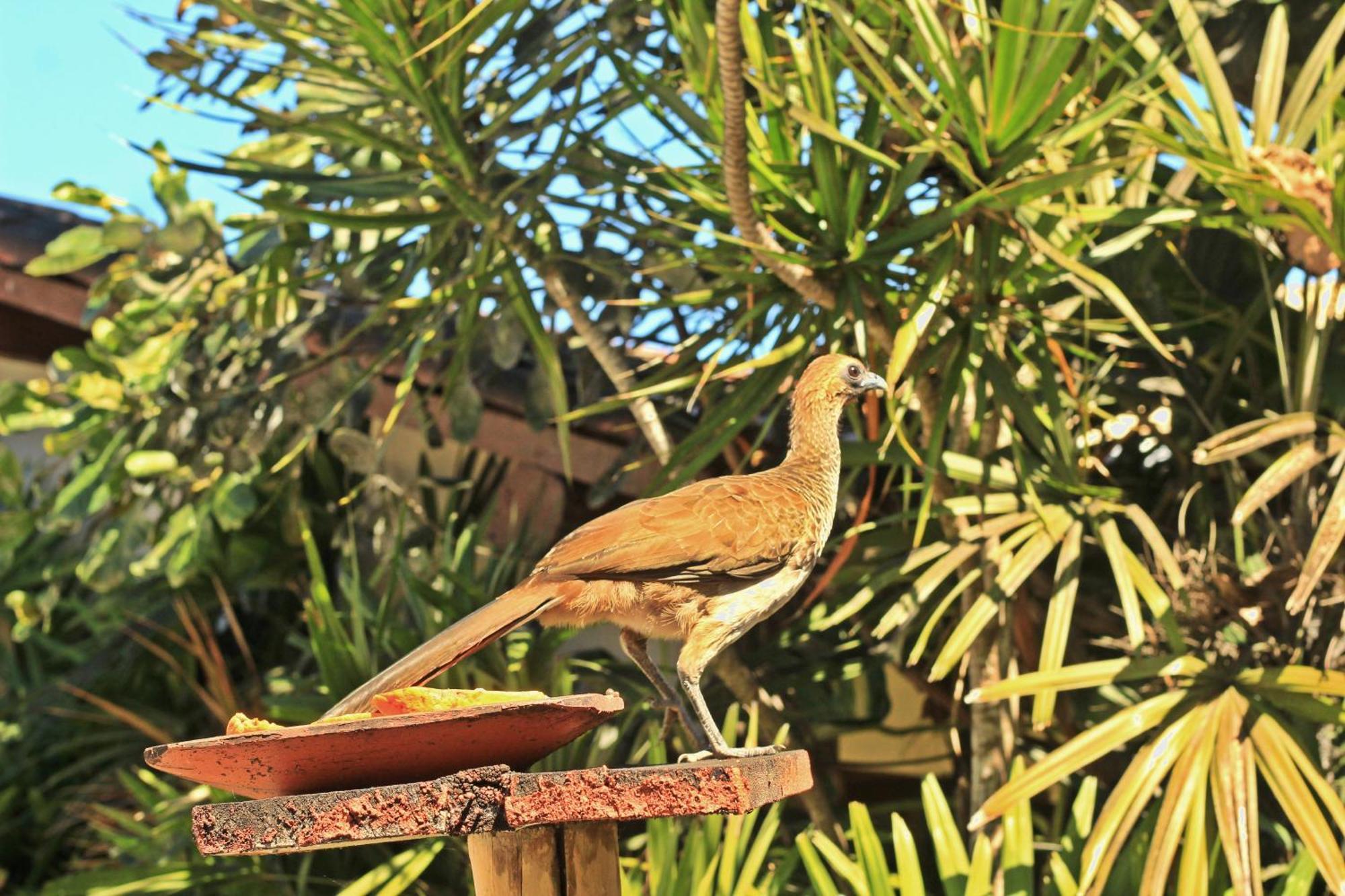 Pousada Fragata - Arraial D Ajuda - Melhor Localizacao E Atendimento Arraial d'Ajuda Exterior photo