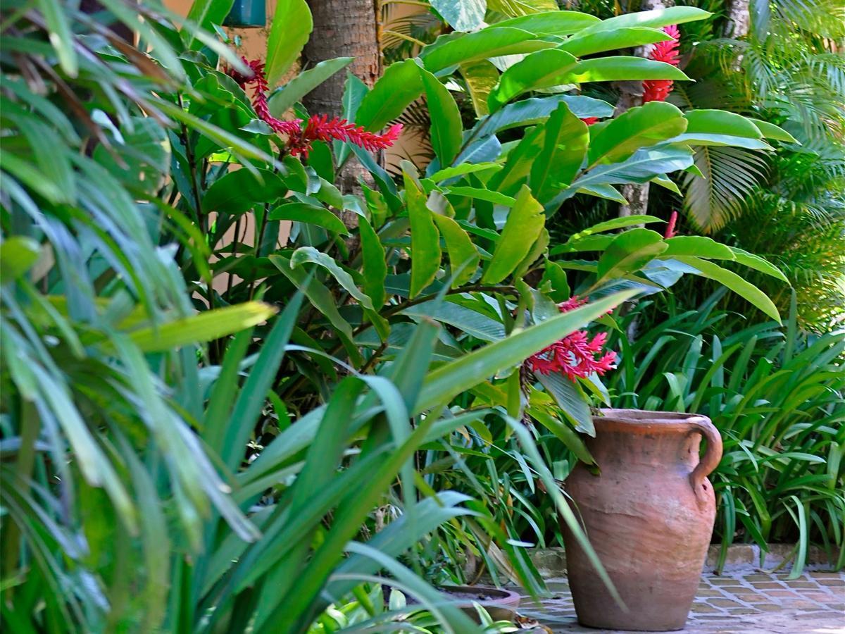 Pousada Fragata - Arraial D Ajuda - Melhor Localizacao E Atendimento Arraial d'Ajuda Exterior photo